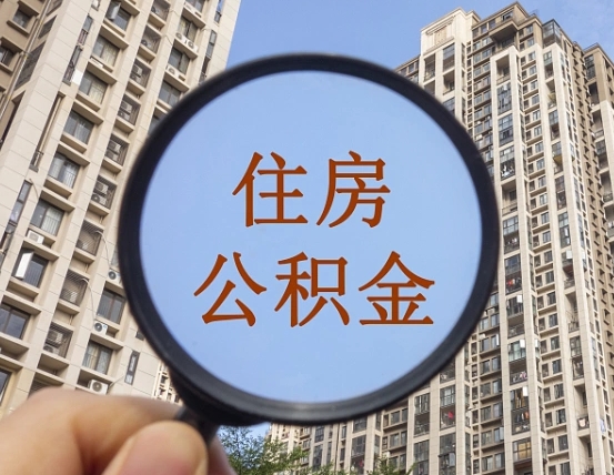 宝应县退休后查不到公积金明细了吗（退休后公积金查询不到原因）